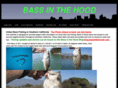 bassinthehood.com