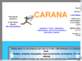 bordados-carana.com