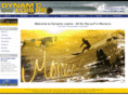 dynamic-loisirs.com