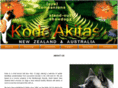 kodoakitas.com