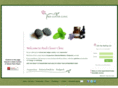 redcloverclinic.com