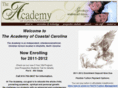 theacademyedu.com