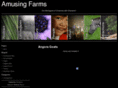 amusingfarms.com