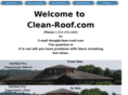 clean-roof.com