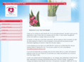nursingservices4you.com