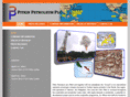 pitkinpetroleum.com