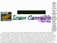 scamcannabis.com