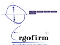 ergofirm.com