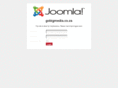 gobigadvertising.com