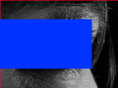 bsussed.org