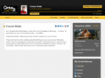 century21bellrealestate.com