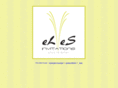 elesinvitations.com