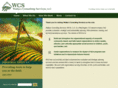 wallaceconsultingdc.com