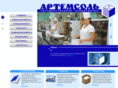 artyomsalt.com