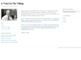 avoiceinthevillage.com
