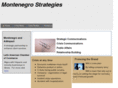 montenegrostrategies.com