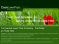 oasislawnpros.com