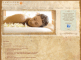 tanfeverflorida.com