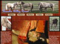 thundervalleyranch.com