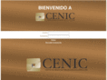cenicmarketing.es