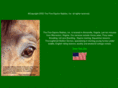 fineequine2002.com