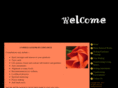 healingintensives.com