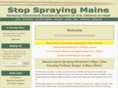 maineskywatch.com