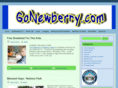 newberrywebsites.com