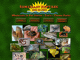 suncoastreptiles.com
