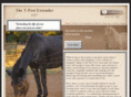 tpostextender.com