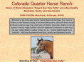 coloradoquarterhorse.com
