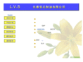 lvsoil.com