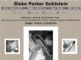 blakegoldstein.com