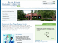 blueridgesurgerycenter.com