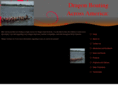 dragonboatfun.com