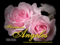 floristeriaangeles.com