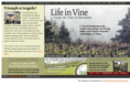 lifeinvine.com