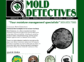 molddetectivesinc.com