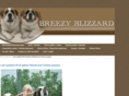 breezyblizzard.com