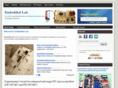 embedded-lab.com