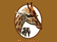 molombo.net