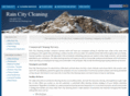 raincitycleaning.com