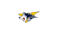 team-wolves.com