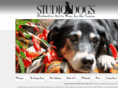 thestudiodogs.com