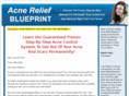 acnereliefblueprint.com