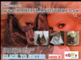 babeislandstore.com