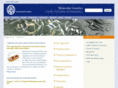 bacterialchromatin.com