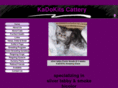 kadokits.com