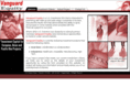 vanguardequity.com