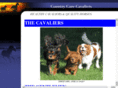 countrycarestables.com